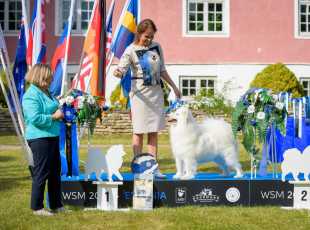 2019 Euroshow Bobveteran